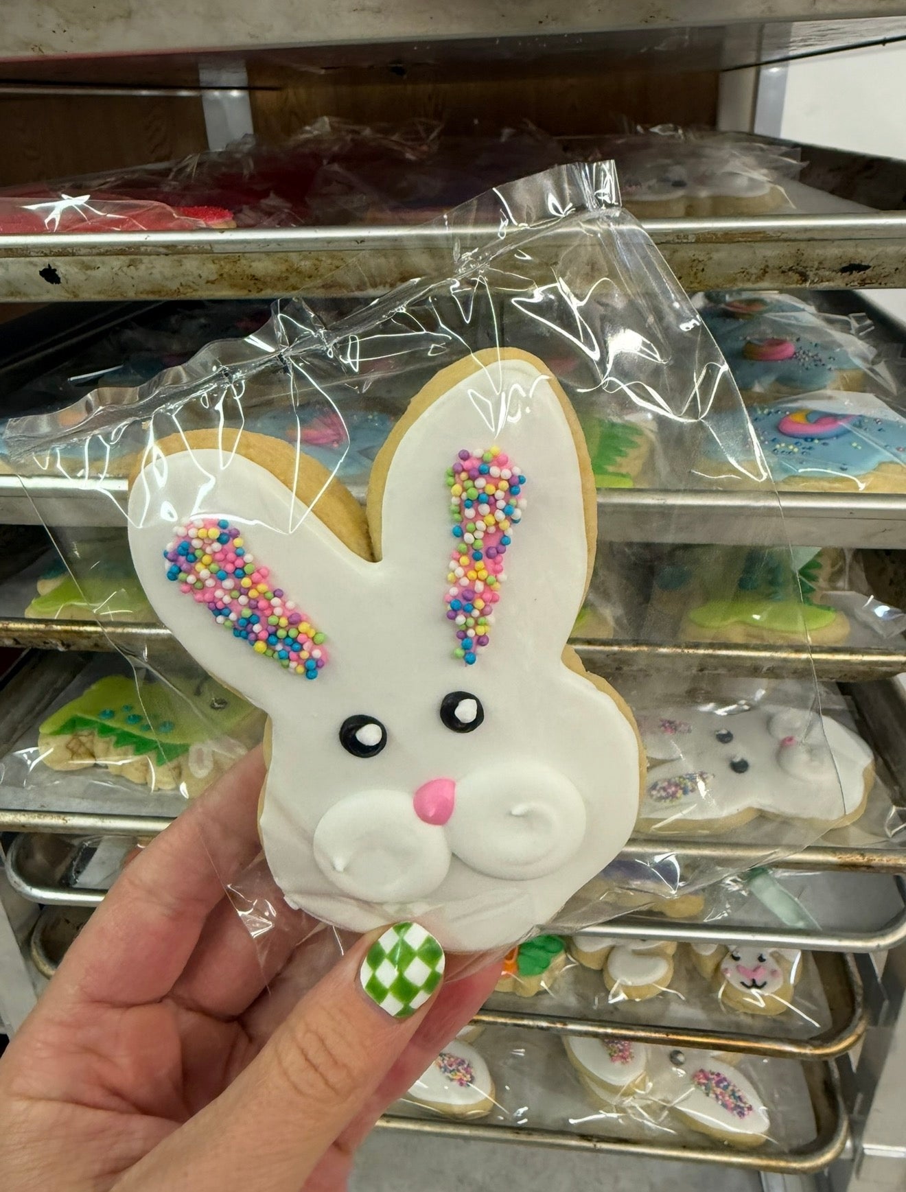 1 dz decorators choice sugar cookies