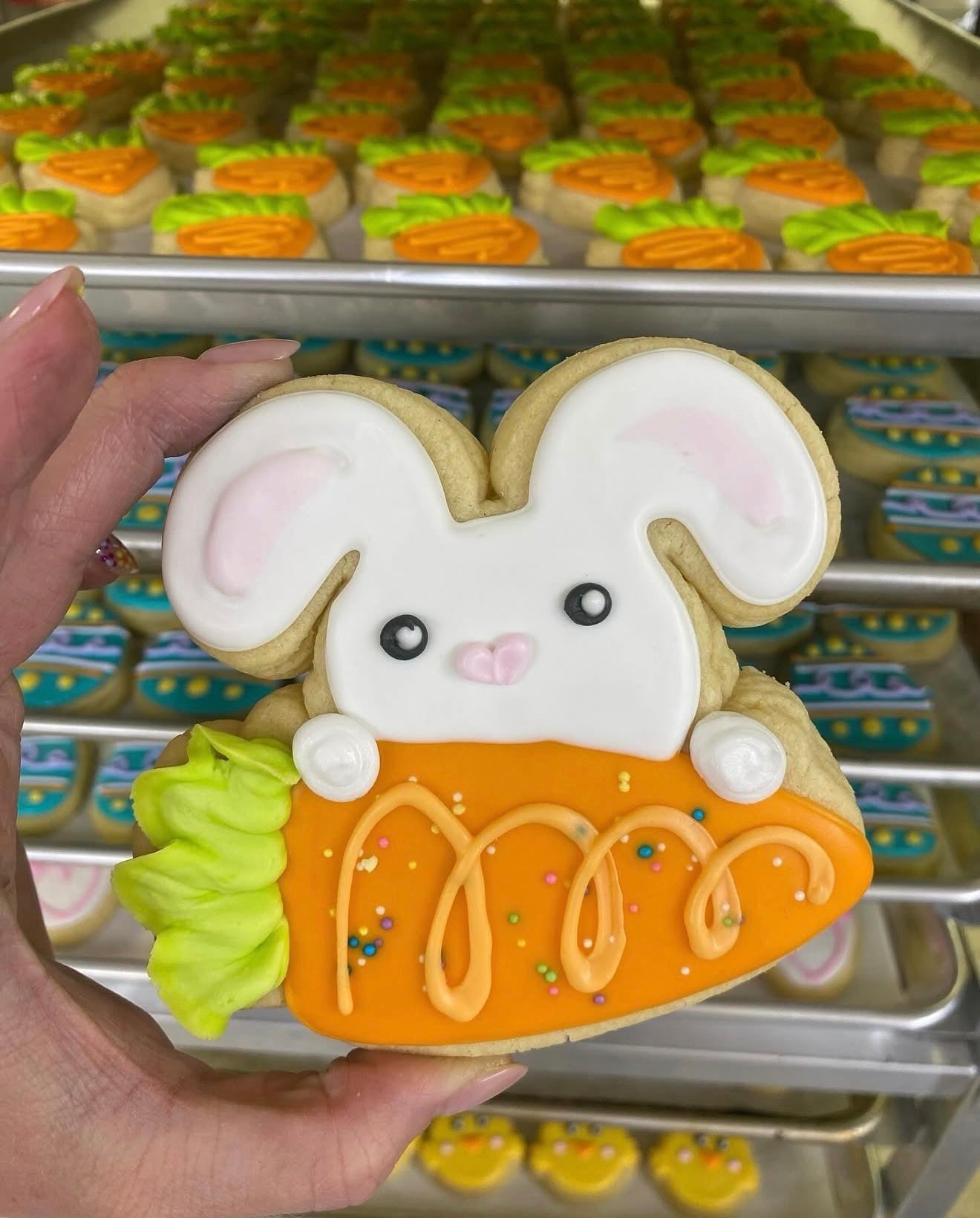 1 dz decorators choice sugar cookies